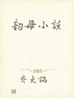 韵母小说封面