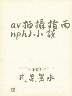 av拍摄指南(nph)小说