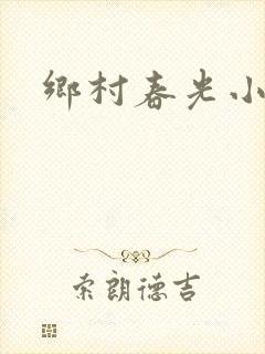 乡村春光小说