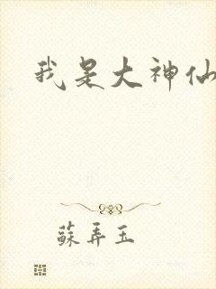 我是大神仙小说