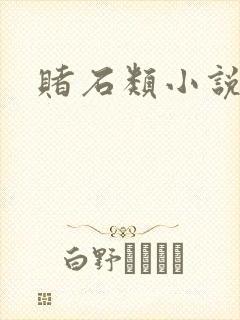 赌石类小说封面