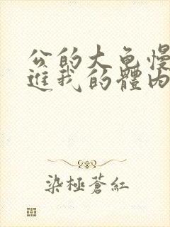 公的大龟慢慢挺进我的体内