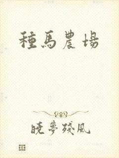 种马农场封面