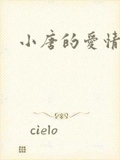 小唐的爱情史