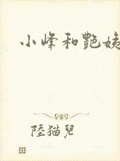 小峰和艳姨封面