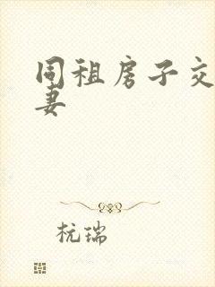 同租房子交换夫妻封面