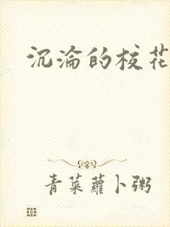 沉沦的校花