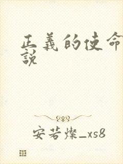 正义的使命 小说