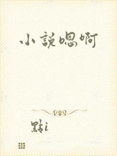 小说嗯啊