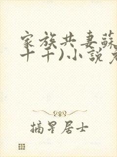 家族共妻苏苏(十千)小说免费