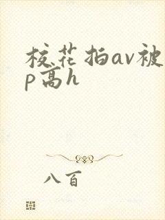 校花拍av被np高h
