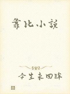 靠比小说封面