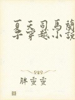 夏天司马兰九皇子穿越小说笔趣阁封面