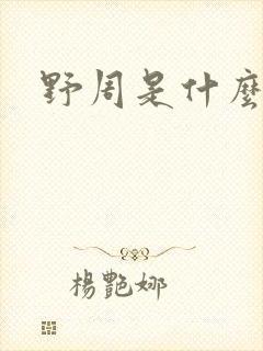 野周是什么意思封面