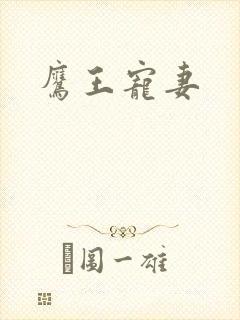 鹰王宠妻