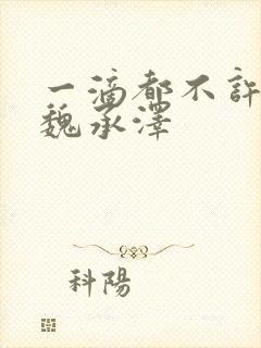 一滴都不许漏 魏承泽封面