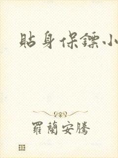 贴身保镖小说封面