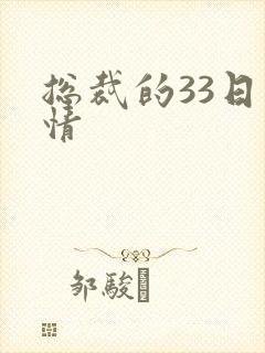 总裁的33日索情
