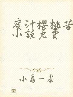 蜜汁樱桃苦咖啡小说免费