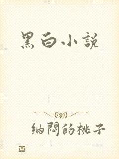 黑白小说
