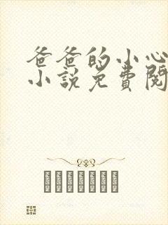 爸爸的小心肝儿小说免费阅读