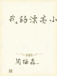 我的漂亮小后妈