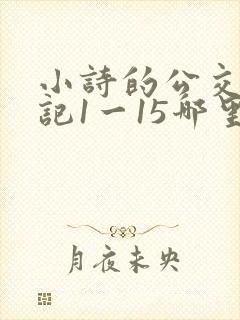 小诗的公交车日记1一15哪里能看