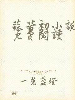 苏若初小说全文免费阅读
