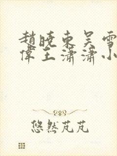 赵晓东吴雪晴郑伟王潇潇小说