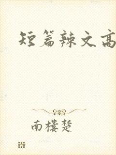 短篇辣文高h封面