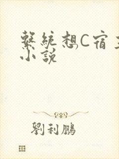 系统想C宿主的小说