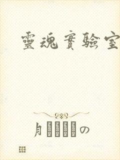 灵魂实验室