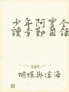 少年阿宾全文阅读章节目录