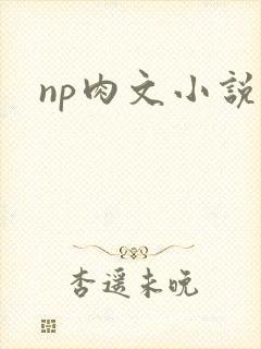 np肉文小说封面