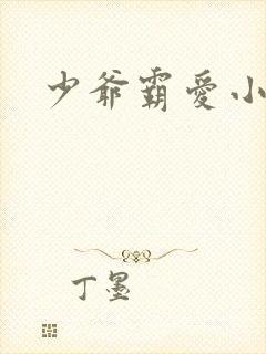 少爷霸爱小丫头封面