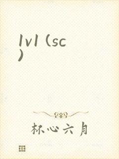 1v1 (sc)