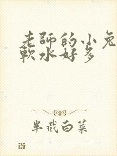 老师的小兔子好软水好多