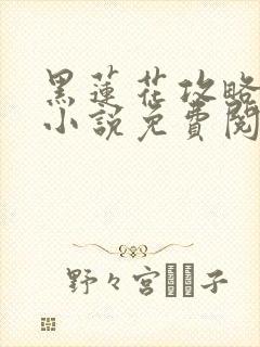 黑莲花攻略手册小说免费阅读全文