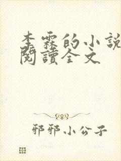李霖的小说免费阅读全文封面