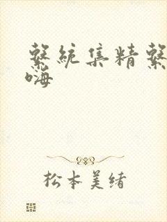 系统集精系统高嗨封面