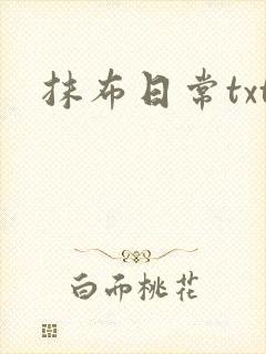 抹布日常txt