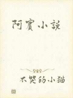 阿宾小说