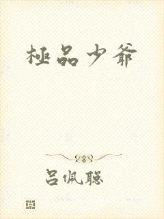 极品少爷