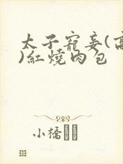 太子宠妾(高肉)红烧肉包