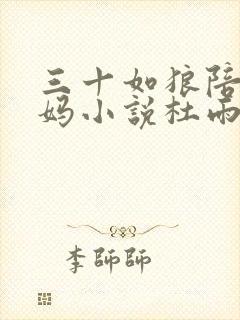 三十如狼陪读妈妈小说杜雨馨封面