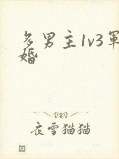 多男主1v3军婚