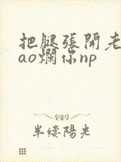 把腿张开老子cao烂你np封面