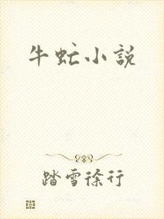 牛虻小说