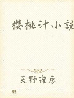 樱桃汁小说