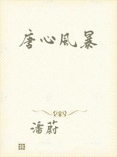 唐心风暴